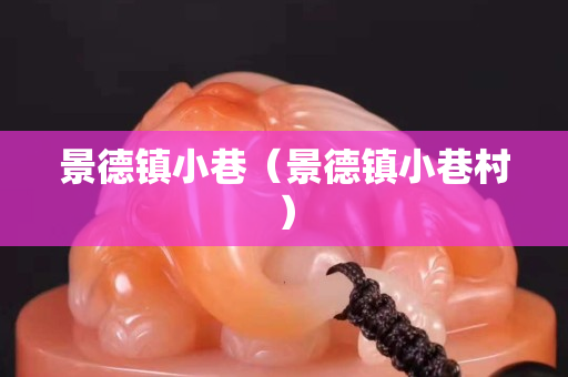 景德镇小巷（景德镇小巷村）