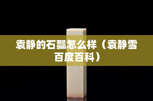 袁静的石瓢怎么样（袁静雪百度百科）