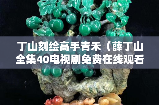 丁山刻绘高手青禾（薛丁山全集40电视剧免费在线观看）