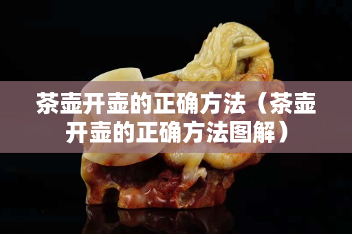 茶壶开壶的正确方法（茶壶开壶的正确方法图解）