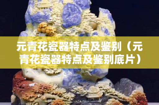 元青花瓷器特点及鉴别（元青花瓷器特点及鉴别底片）