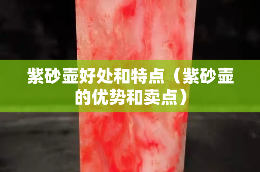 紫砂壶好处和特点（紫砂壶的优势和卖点）