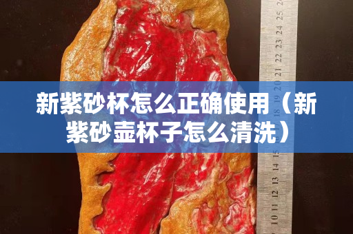 新紫砂杯怎么正确使用（新紫砂壶杯子怎么清洗）