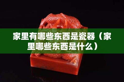 家里有哪些东西是瓷器（家里哪些东西是什么）
