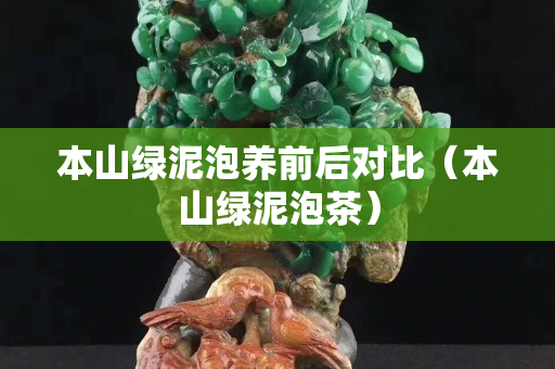 本山绿泥泡养前后对比（本山绿泥泡茶）