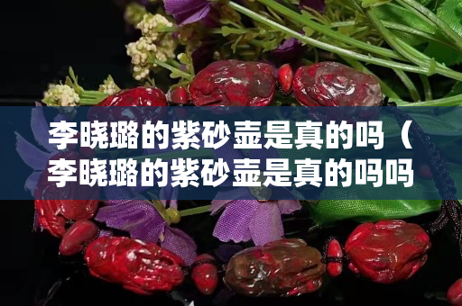 李晓璐的紫砂壶是真的吗（李晓璐的紫砂壶是真的吗吗）