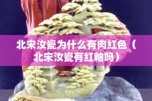 北宋汝瓷为什么有肉红色（北宋汝瓷有红釉吗）