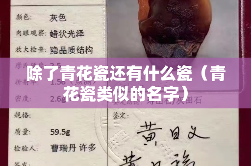 除了青花瓷还有什么瓷（青花瓷类似的名字）