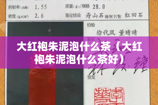 大红袍朱泥泡什么茶（大红袍朱泥泡什么茶好）