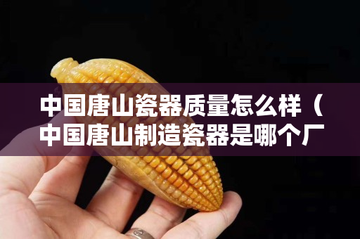 中国唐山瓷器质量怎么样（中国唐山制造瓷器是哪个厂的）