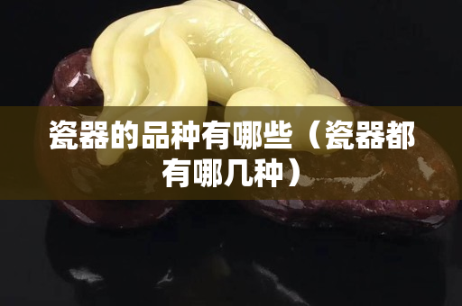 瓷器的品种有哪些（瓷器都有哪几种）