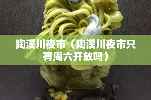 陶溪川夜市（陶溪川夜市只有周六开放吗）