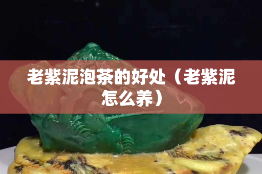 老紫泥泡茶的好处（老紫泥怎么养）