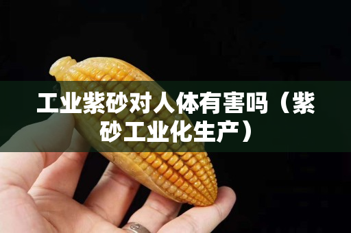 工业紫砂对人体有害吗（紫砂工业化生产）