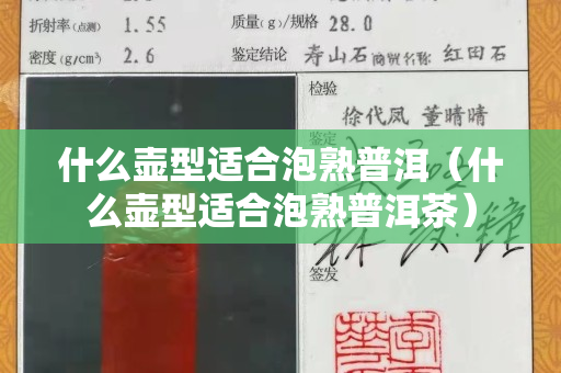 什么壶型适合泡熟普洱（什么壶型适合泡熟普洱茶）
