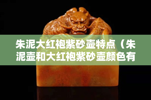 朱泥大红袍紫砂壶特点（朱泥壶和大红袍紫砂壶颜色有什么不同）