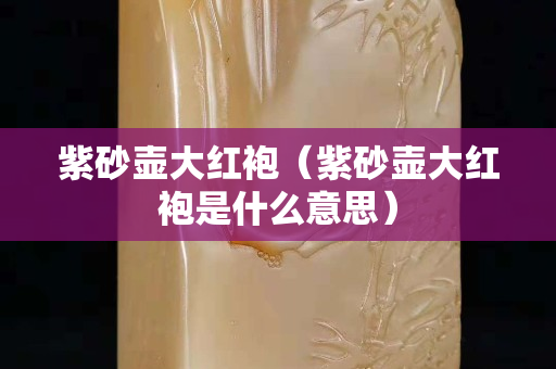 紫砂壶大红袍（紫砂壶大红袍是什么意思）