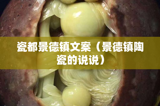瓷都景德镇文案（景德镇陶瓷的说说）