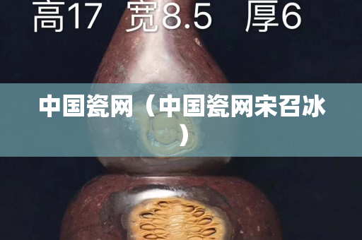 中国瓷网（中国瓷网宋召冰）