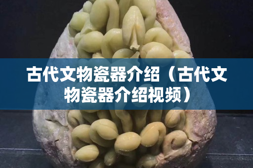 古代文物瓷器介绍（古代文物瓷器介绍视频）