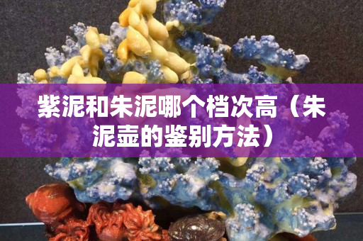紫泥和朱泥哪个档次高（朱泥壶的鉴别方法）