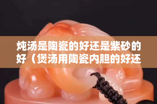 炖汤是陶瓷的好还是紫砂的好（煲汤用陶瓷内胆的好还是紫砂内胆的好）