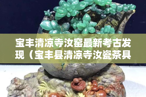 宝丰清凉寺汝窑最新考古发现（宝丰县清凉寺汝瓷茶具一套价格）