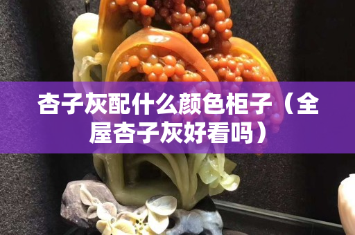 杏子灰配什么颜色柜子（全屋杏子灰好看吗）
