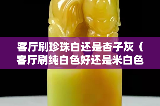 客厅刷珍珠白还是杏子灰（客厅刷纯白色好还是米白色好看）