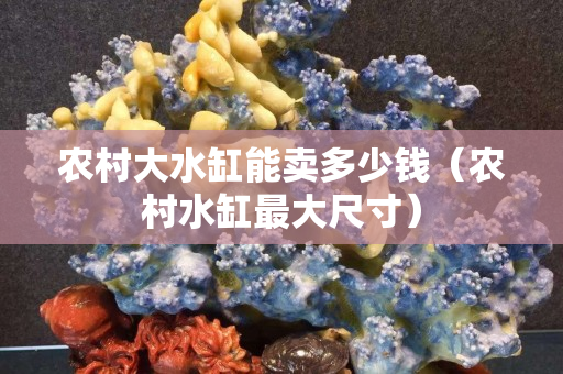 农村大水缸能卖多少钱（农村水缸最大尺寸）