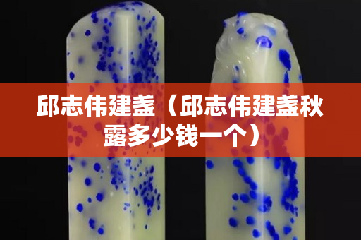 邱志伟建盏（邱志伟建盏秋露多少钱一个）