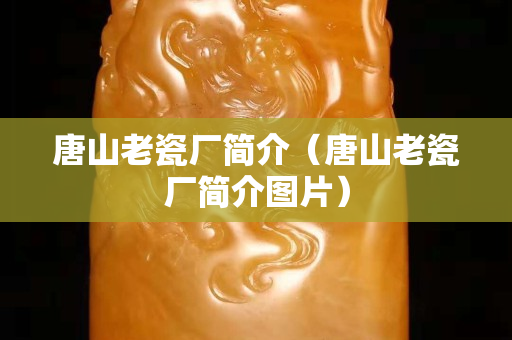 唐山老瓷厂简介（唐山老瓷厂简介图片）