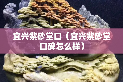 宜兴紫砂堂口（宜兴紫砂堂口碑怎么样）