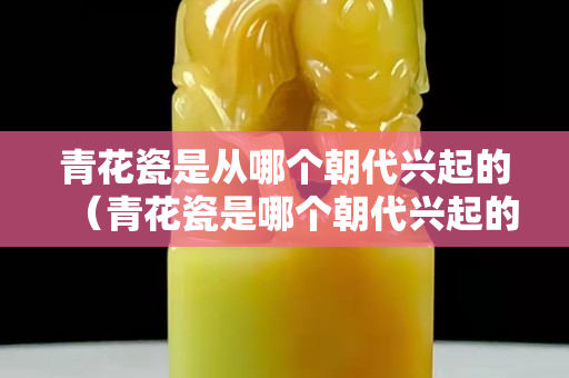 青花瓷是从哪个朝代兴起的（青花瓷是哪个朝代兴起的？）
