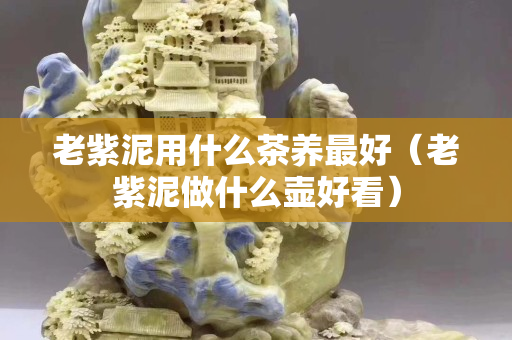 老紫泥用什么茶养最好（老紫泥做什么壶好看）