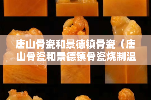 唐山骨瓷和景德镇骨瓷（唐山骨瓷和景德镇骨瓷烧制温度哪个高）