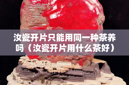 汝瓷开片只能用同一种茶养吗（汝瓷开片用什么茶好）