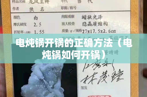 电炖锅开锅的正确方法（电炖锅如何开锅）