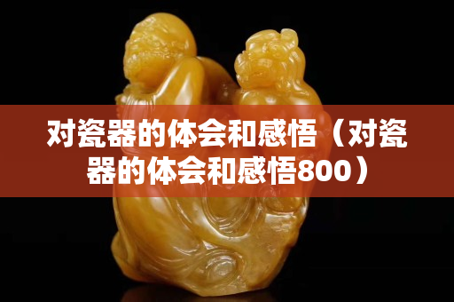 对瓷器的体会和感悟（对瓷器的体会和感悟800）