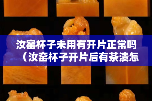 汝窑杯子未用有开片正常吗（汝窑杯子开片后有茶渍怎么洗）