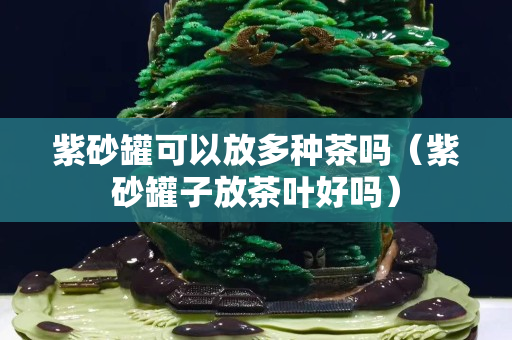 紫砂罐可以放多种茶吗（紫砂罐子放茶叶好吗）