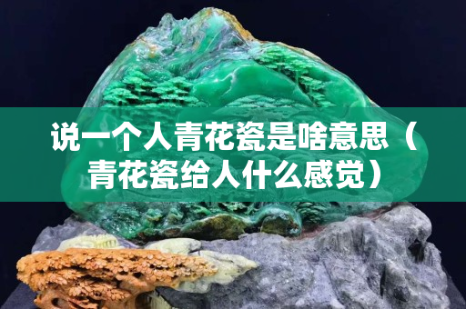 说一个人青花瓷是啥意思（青花瓷给人什么感觉）