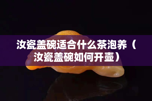 汝瓷盖碗适合什么茶泡养（汝瓷盖碗如何开壶）
