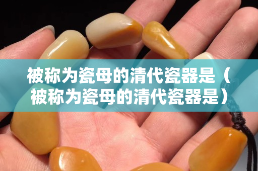 被称为瓷母的清代瓷器是（被称为瓷母的清代瓷器是）