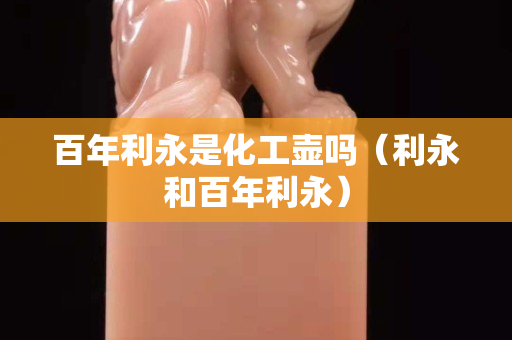 百年利永是化工壶吗（利永和百年利永）