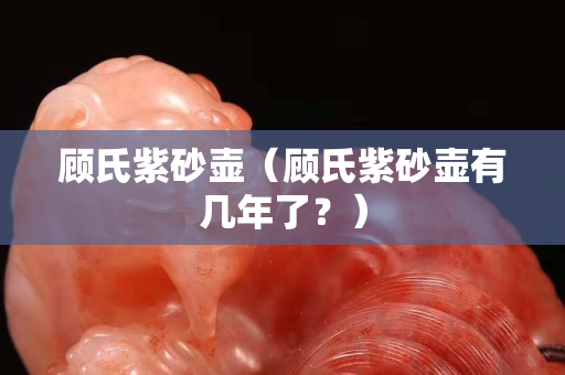 顾氏紫砂壶（顾氏紫砂壶有几年了？）