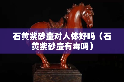 石黄紫砂壶对人体好吗（石黄紫砂壶有毒吗）