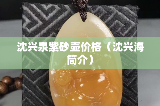 沈兴泉紫砂壶价格（沈兴海简介）