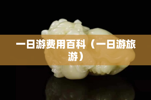 一日游费用百科（一日游旅游）