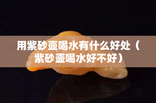用紫砂壶喝水有什么好处（紫砂壶喝水好不好）